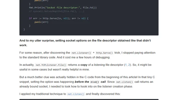 How to Set Go net/http Socket Options - setsockopt() example
