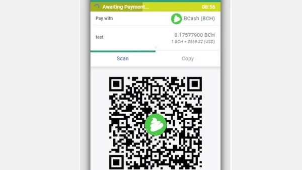 An Elixir based payment processor for the Coinparty hackathon