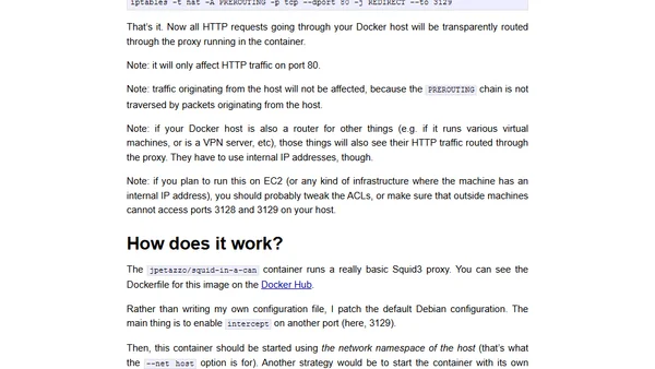 Setting up a transparent proxy for your Docker containers