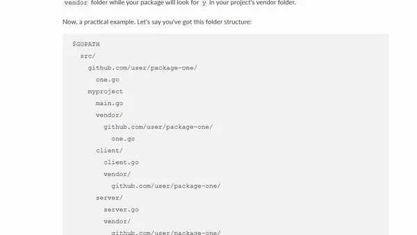 Understanding Dependency Management in Go
