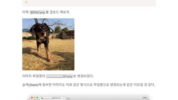 워드프레스 파일 업로드 시 파일명 처리