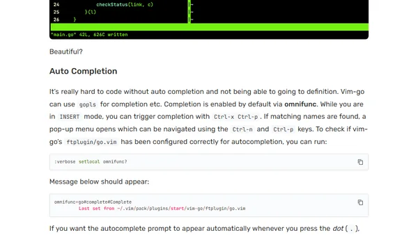 Using Vim for Go Development