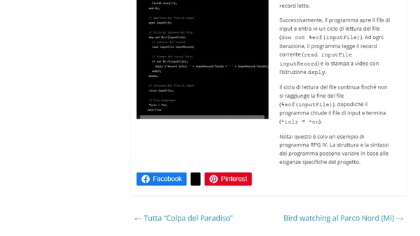 Programma Rpg4 che legge un file di Input e stampa i records letti.