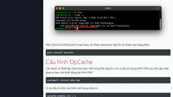 Cài đặt và sử dụng OPCache để tối ưu tốc độ ứng dụng website chạy bằng PHP