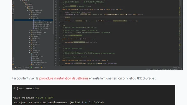Des problèmes avec PHPStorm sous Linux ? Vérifier votre JRE