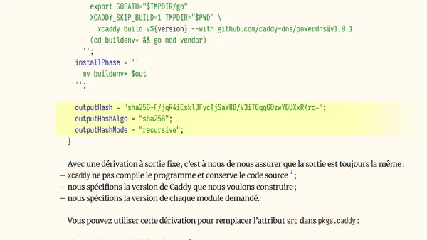 Personnaliser les modules de Caddy avec Nix
