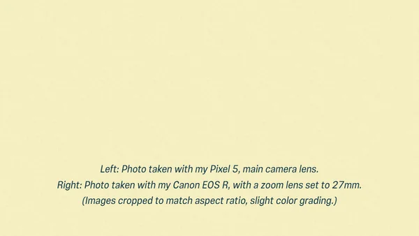 Why your phone’s portrait mode fakes the blur