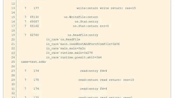 How to reproduce and fix an I/O data race with Go and DTrace