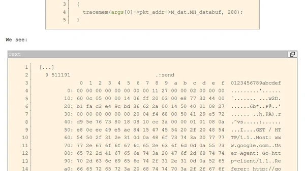 See all network traffic in a Go program, even when encrypted and compressed