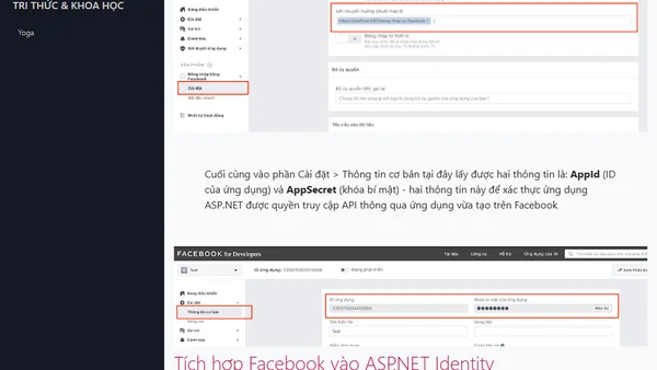 (ASP.NET Razor) Sử dụng Facebook để xác thực đăng nhập trong Identity
