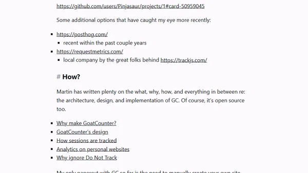 Trying Out GoatCounter