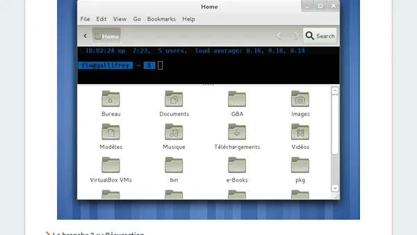 Nautilus Terminal : L'histoire d'un projet compliqué