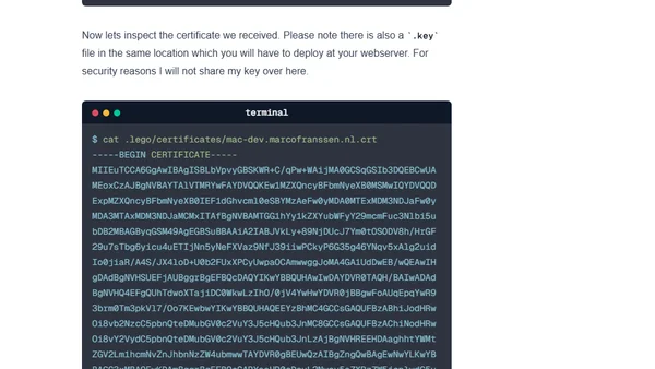 Use the ACME DNS-Challenge to get a TLS certificate