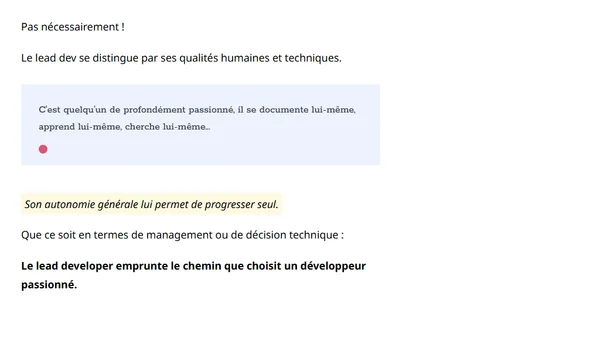 Lead developer : Comment devenir Tech Lead ?