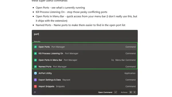 The RayCast Port Manager Extension
