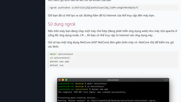 Sử dụng ngrok để truy cập từ internet vào máy cá nhân
