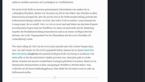 devowl.io: Auf geht’s in das WordPress Business!