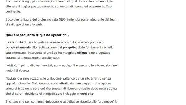 I Professionisti del Web: La Figura del SEO (parte 6)
