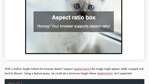 My Browser Support Strategy