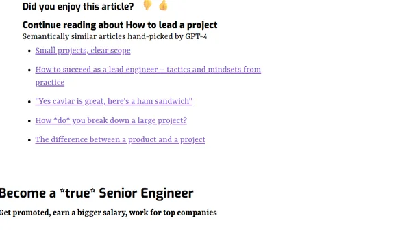 How to lead a project