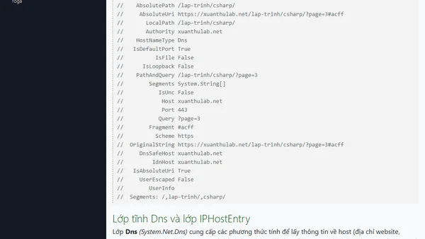 Lớp Uri Dns Ping và các lớp về Networking trong lập trình C# NET Core