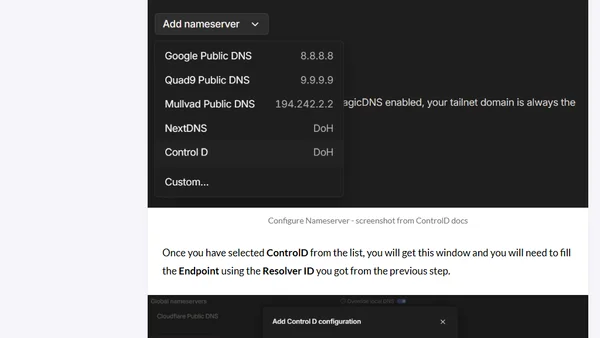 It's now possible to use ControlD DNS with Tailscale
