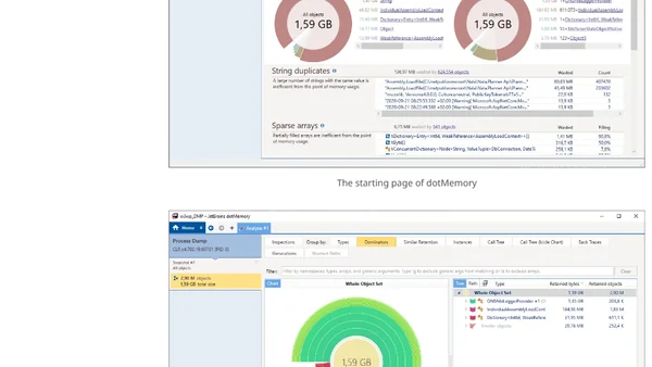 Finding that C# memory leak