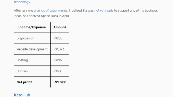 My First Year as a Solo Developer