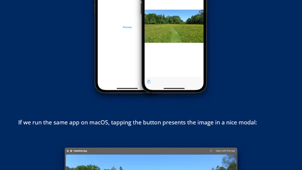 Using QuickLook in SwiftUI