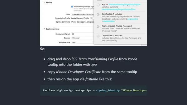 Bypassing iOS application verification error