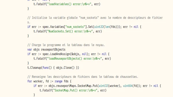 Répartition du trafic sur des chaussettes UDP avec eBPF et Go