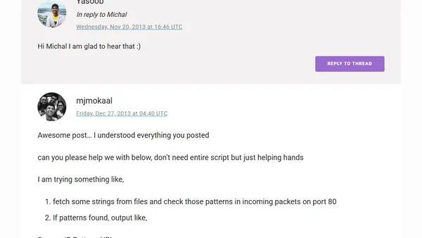 Python socket network programming
